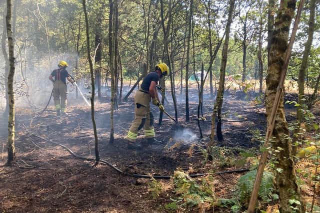 Hampshire and Isle of Wight firefighters tackle 175 open area blazes in ...