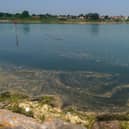 Scum foam at Langstone Harbour, in Eastney, after a previous discharge. 