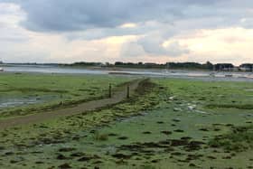 The Wadeway leading across the mudflats from Langstone to Hayling Island. Picture: Robert Pragnell