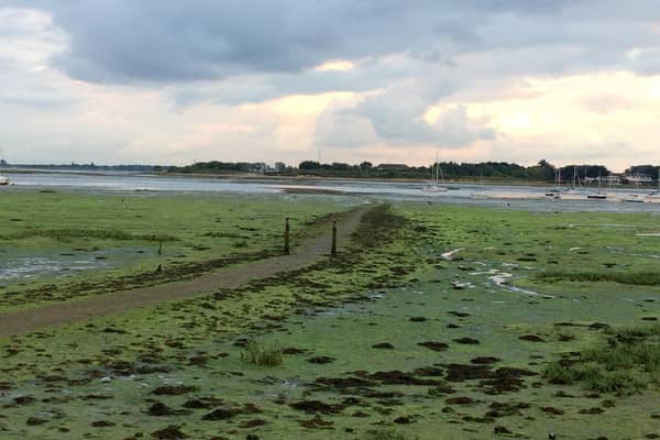 The Wadeway leading across the mudflats from Langstone to Hayling Island. Picture: Robert Pragnell