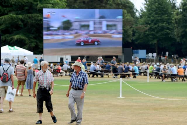 Screen at Goodwood. Picture: Sarah Standing (180553-2031c)