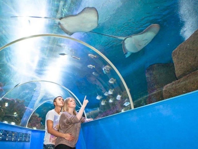 Anyone who is a member of a Hampshire library can claim £2 off up to six tickets to the Blue Reef Aquarium in Southsea. Present your library card at reception to claim your discount.