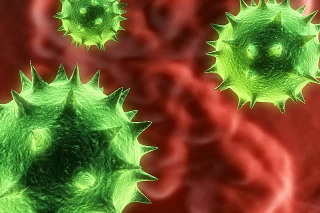 Norovirus bug
