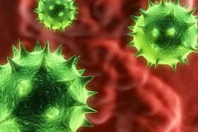 Norovirus bug