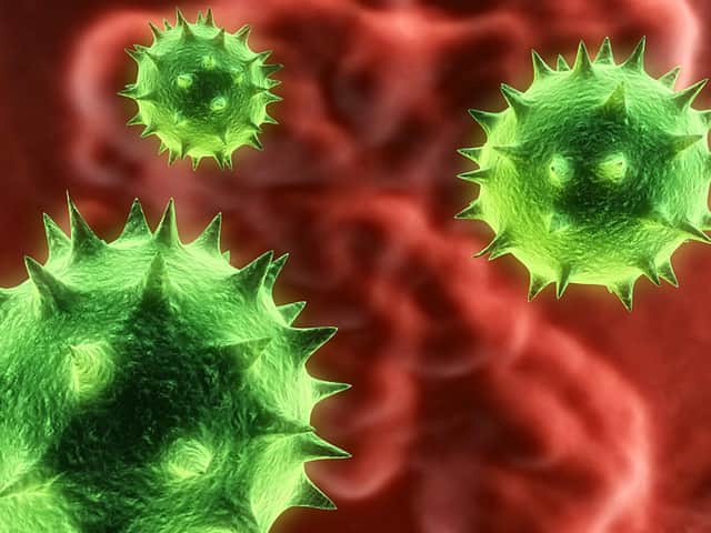 Norovirus bug