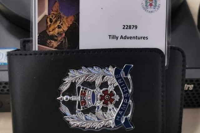 Tilly the cat was a regular visitor to Gosport Police Station.