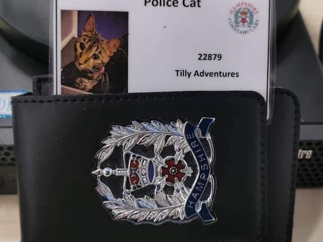 Tilly the cat was a regular visitor to Gosport Police Station.