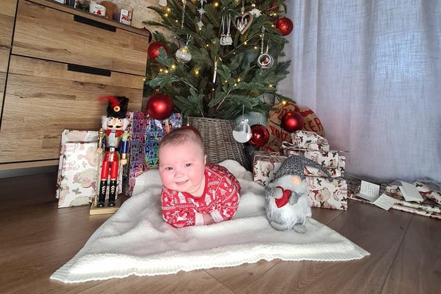 Eighteen-week-old Arlo. Picture: Tayshia Bernstein