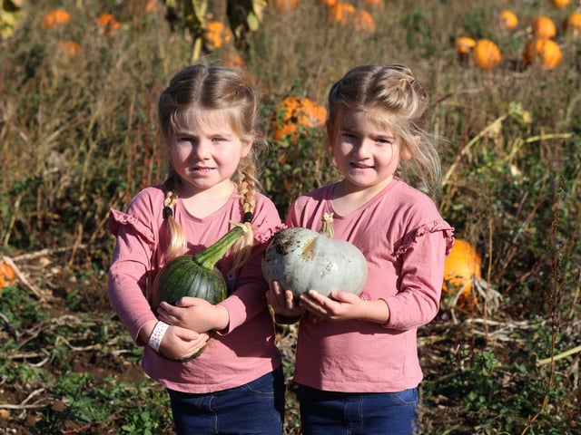 Pictured is Keira Milsom, 3, and Hayley Milsom, 5.
Picture: Sam Stephenson.