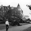 The devastation in Ladies Mile on Southsea Common after the 1987 Great Storm, often referred to as a hurricane.