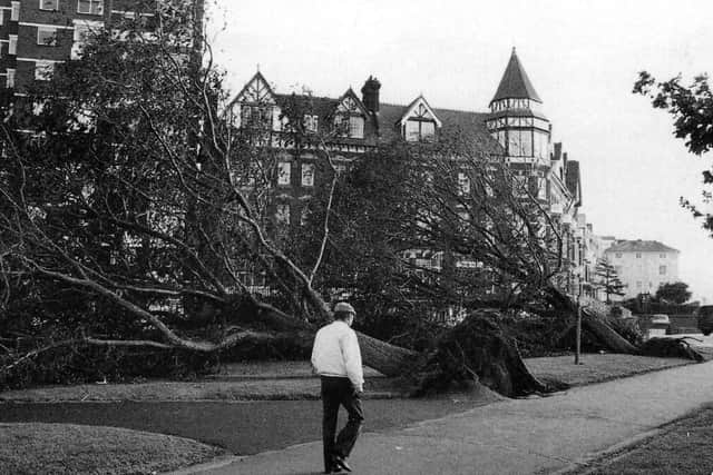 The devastation in Ladies Mile on Southsea Common after the 1987 Great Storm, often referred to as a hurricane.
