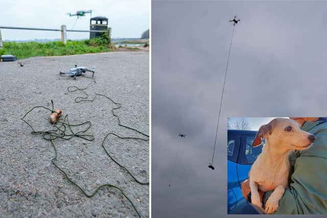 Three-year-old Jack Russell Millie had been missing for four days and was seen running around dangerous locations in Havant and Farlington.
Pictured: Drones dangling sausages were used to try and lure Millie out, with an inset picture of Millie finally being rescued