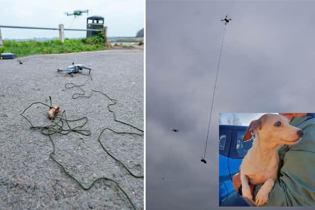 Three-year-old Jack Russell Millie had been missing for four days and was seen running around dangerous locations in Havant and Farlington.
Pictured: Drones dangling sausages were used to try and lure Millie out, with an inset picture of Millie finally being rescued