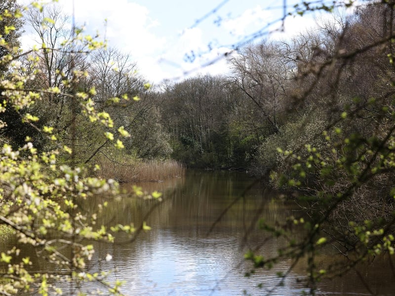 Foxes Forest, Portsmouth, offers up a picturesque walking area which is a popular choice amongst many throughout the year. Picture: Sam Stephenson.