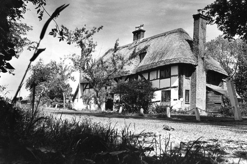 A picturesque cottage on Yew Tree Lane, Hayling Island, July 4 1973. The News  PP3400