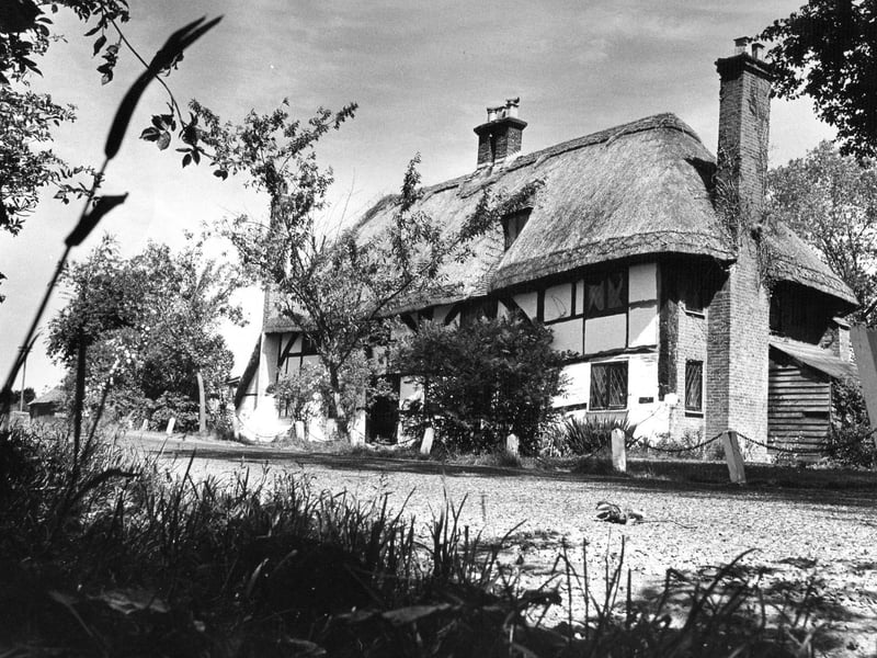 A picturesque cottage on Yew Tree Lane, Hayling Island, July 4 1973. The News  PP3400