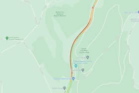 Traffic is slow near Queen Elizabeth Country Park.
