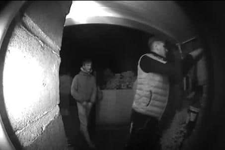 Waterlooville police are trying to identify these men after four boxes of eggs were stolen from a Lovedean Lane garden. 