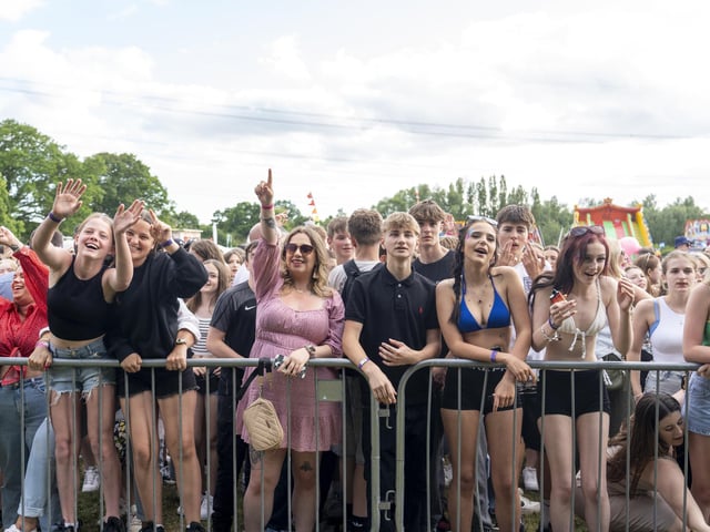 Festival goers enjoying the music at Swanfest 2024