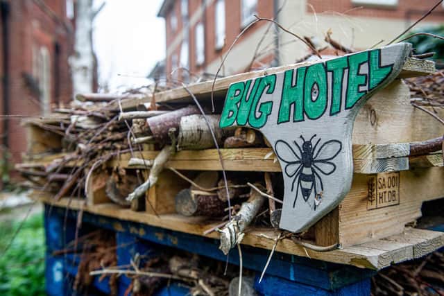 Labour councillors want to boost biodiversity in the city.
Pictured:A Bug Hotel outside St Margaret s Church, Highlands Road, Portsmouth on 30 November 2020.
Picture: Habibur Rahman