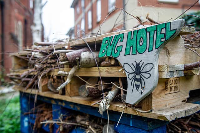 Labour councillors want to boost biodiversity in the city.

Pictured:A Bug Hotel outside St Margaret s Church, Highlands Road, Portsmouth on 30 November 2020.

Picture: Habibur Rahman
