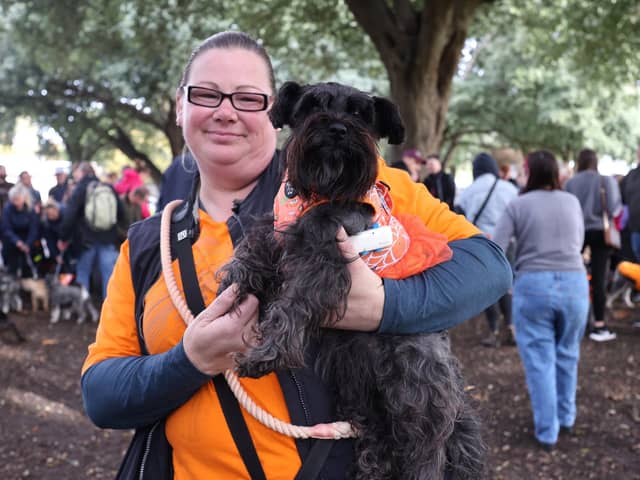Belle the mini-Schnauzer with her mum Lorraine Porter along with 100 South Coast Schnauzer’s, a record number, as they gather in Southsea Dog Park as they prepare for their charity walk along the seafront.

Picture: Sam Stephenson.