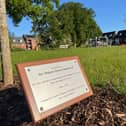 A plaque has been placed alongside the tree.