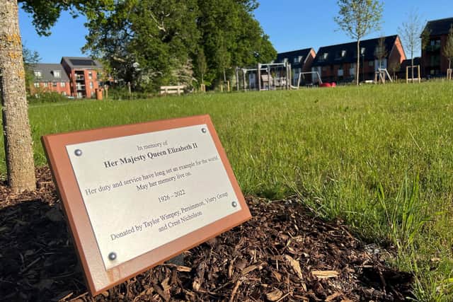 A plaque has been placed alongside the tree.