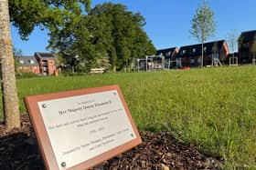 A plaque has been placed alongside the tree.
