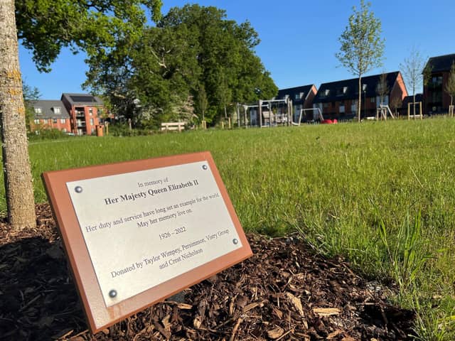 A plaque has been placed alongside the tree.