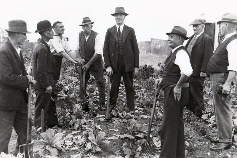 Allotment holders at Baffins, Portsmouth, take a break from digging for victory.