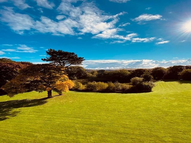 Grounds.