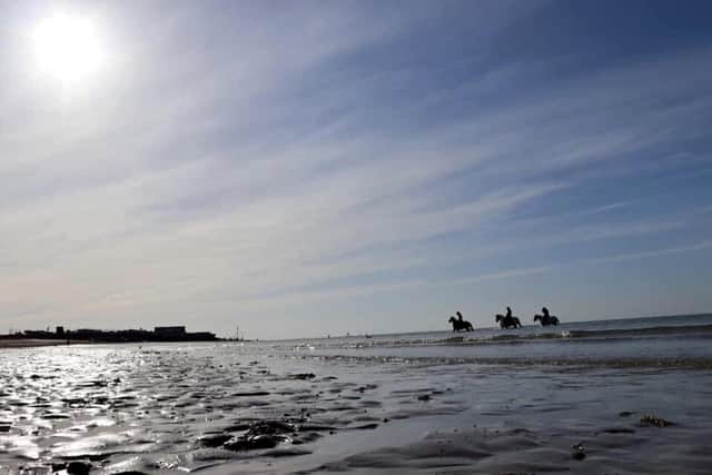 Horses at Hayling Island as Vicki Humphreys argues for riders to be allowed to use the beach