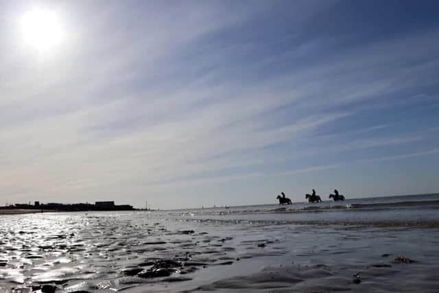 Horses at Hayling Island as Vicki Humphreys argues for riders to be allowed to use the beach