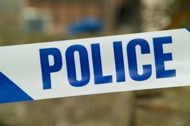 The police have launched an appeal after a driver stole petrol from an Esso garage and crashed into a roundabout wall.