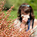 Hay-fever or COVID-19: Key differences you need to know as pollen season begins