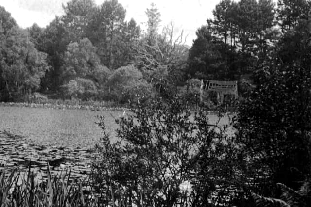 The boathouse beside the lake at Leigh Park Gardens in ruins, 1930.  Picture: George Barrett collection