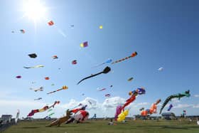 A selection of fantastic kites soar in the sky at the Portsmouth International Kite Festival, Southsea CommonPicture: Chris  Moorhouse (270724-18)