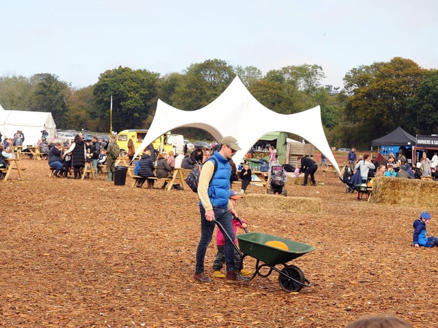 The perfect place to go pumpkin picking
Picture: Sarah Standing (251023-2253)