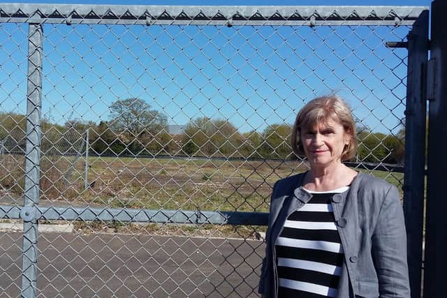 Ann Buckley, coordinator of the Havant Borough Residents' Alliance