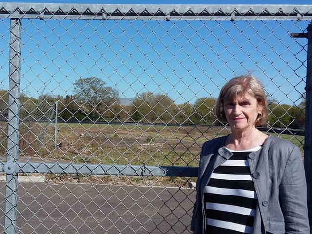 Ann Buckley, coordinator of the Havant Borough Residents' Alliance