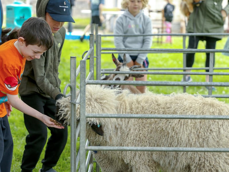 Benjamin Chapman, 8, in orange, at the animal farm. Picture: Chris  Moorhouse (010624-24)