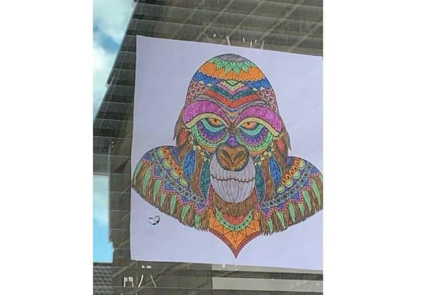 Finlie, Ebonie and Tobbie Hynd from Fareham have been creating colourful pictures to give to their neighbours and brighten their days