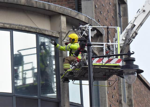 Southsea firefighter Max Hewett rescues a pigeon trapped by netting around the Knight and Lee building near Palmerston Road.