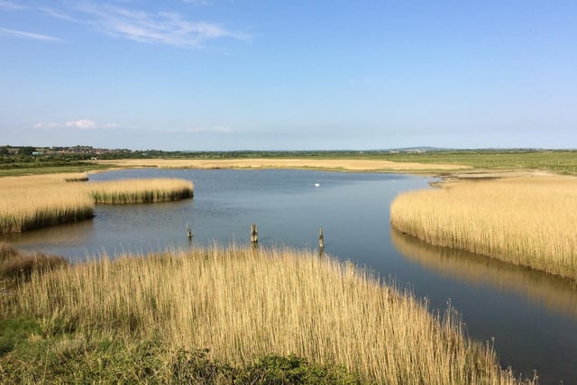 Farlington Marshes is a local nature reserve that is a great place to walk your dogs or to go bird spotting. It was rated 4.6 out of five from 360 reviews on Google.