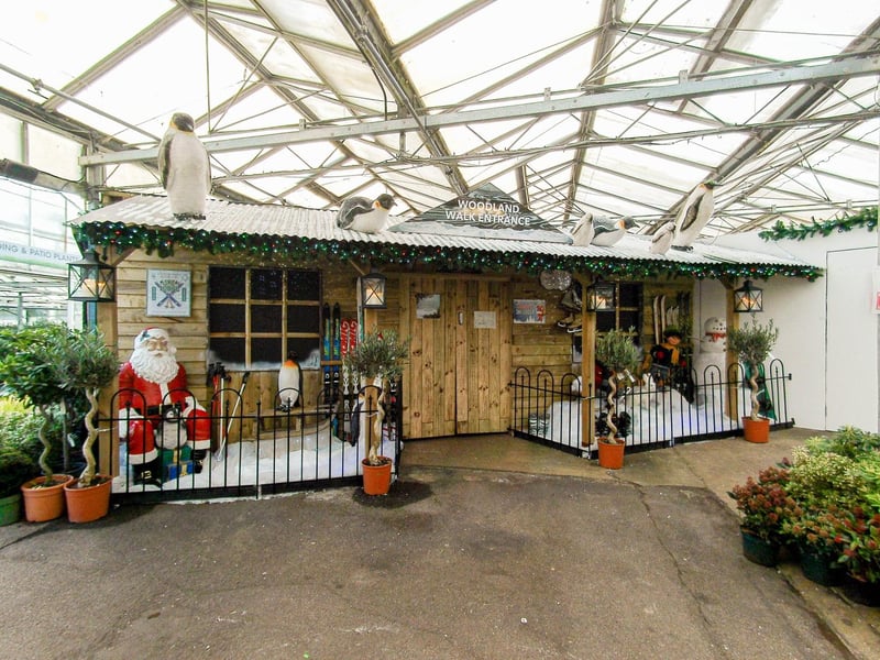 The popular Christmas themed Woodland Walk opened at Keydell Nurseries in Horndean on Friday, November 15.  Picture: Habibur Rahman