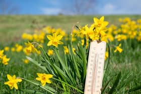 Spring weather.