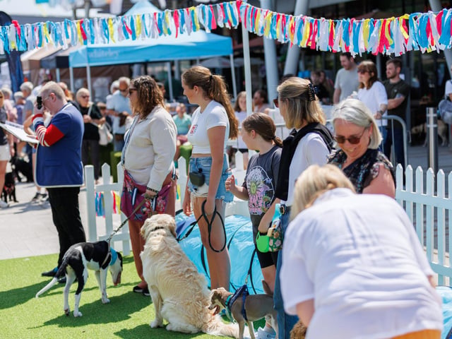 Whiteley Shopping Centre held its annual doggie day on Saturday, May 31.