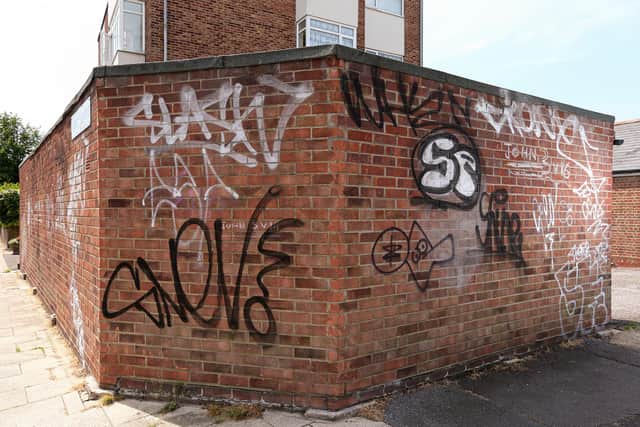 Graffiti at the top end of Albert Grove, Southsea. Picture: Chris Moorhouse (jpns 150621-09)