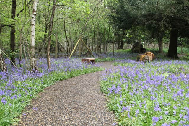 The wildflower meadow close to The Oaks Crematorium